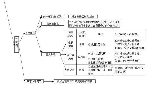 初三生物:10大专题思维导图 知识点汇总,助力期末!