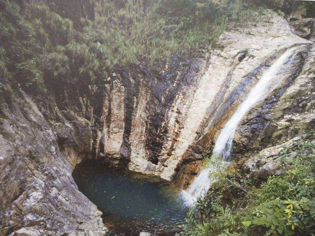 水未来丨平阳顺溪:做足"水文章 守护水生态_手机搜狐网