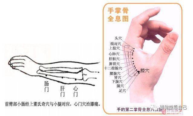 1,点压对应部位痛点:如右膝盖痛,在左胳膊肘附近(肘部内,外,上,下,左