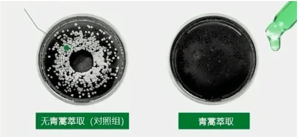 周家礽|康王创始人87岁再出山，挑战5天不洗头