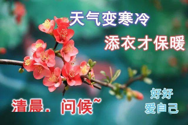 祝福老总词语_祝福别人新婚快乐词语