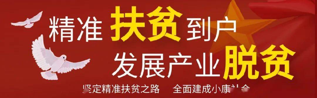 庆云:决战决胜脱贫攻坚 全面建成小康社会