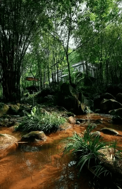 半山听雨简谱_半山听雨简谱洞箫(3)