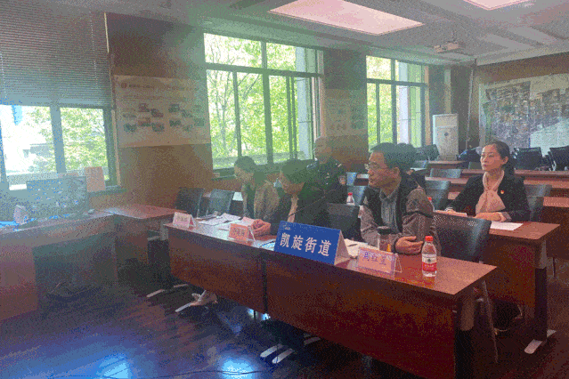 党建动态换届进行时凯旋街道社区经合社党组织换届选举顺利完成