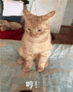 b1ea0aa5d2c344d9b2380daf872f48e8.gif