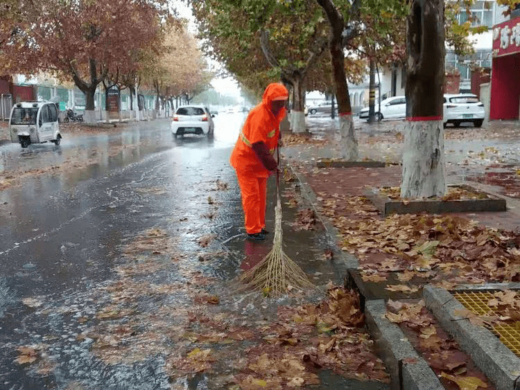 绿化工作人员雨天给大树浇水_绿化大树怎样移栽_绿化洒水车浇水