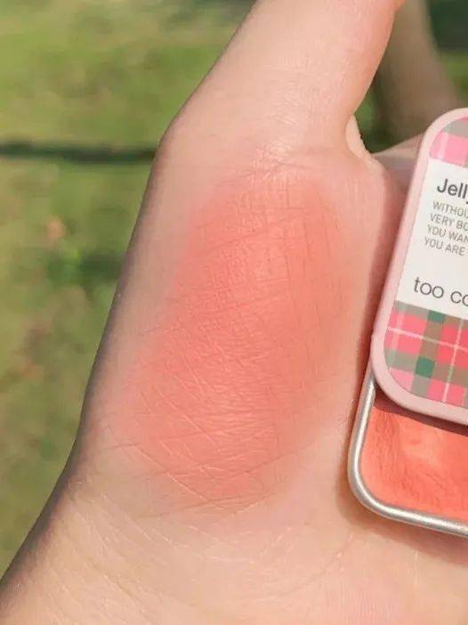 蒙淇淇|20块钱就能买到的绝美腮红？我不信！