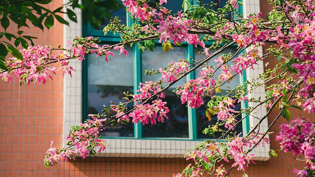 内景|广东大学巡礼-广州南洋理工职业学院