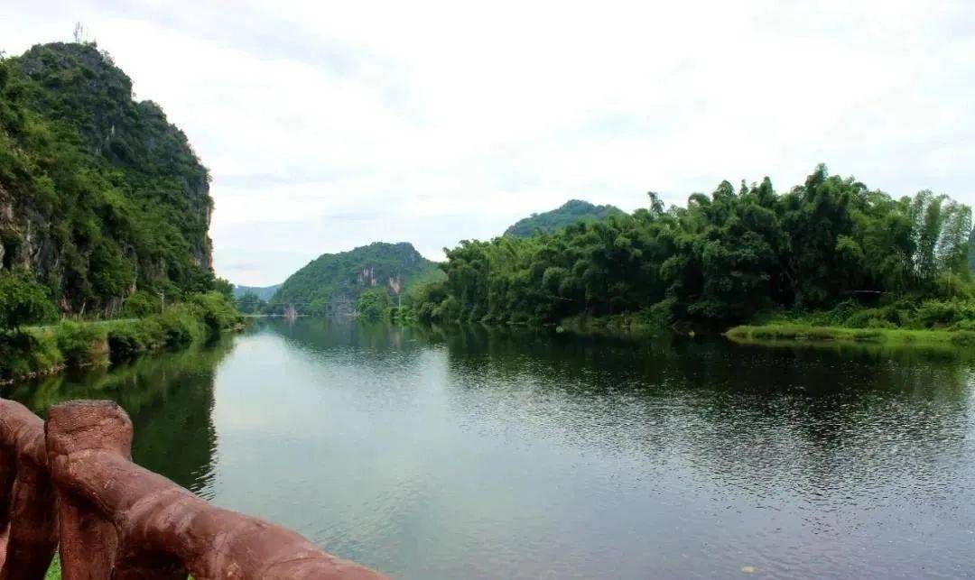 在广西荔浦荔江国家湿地公园跑马,感受荔浦"绿肺"