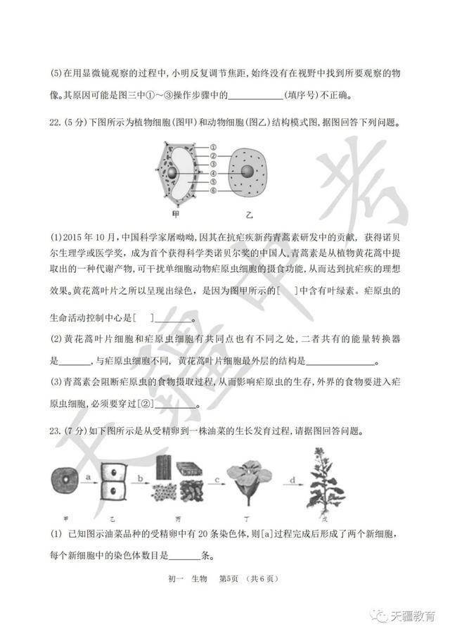 于天疆|2020-2021学年省实验中学七年级上册期中试卷
