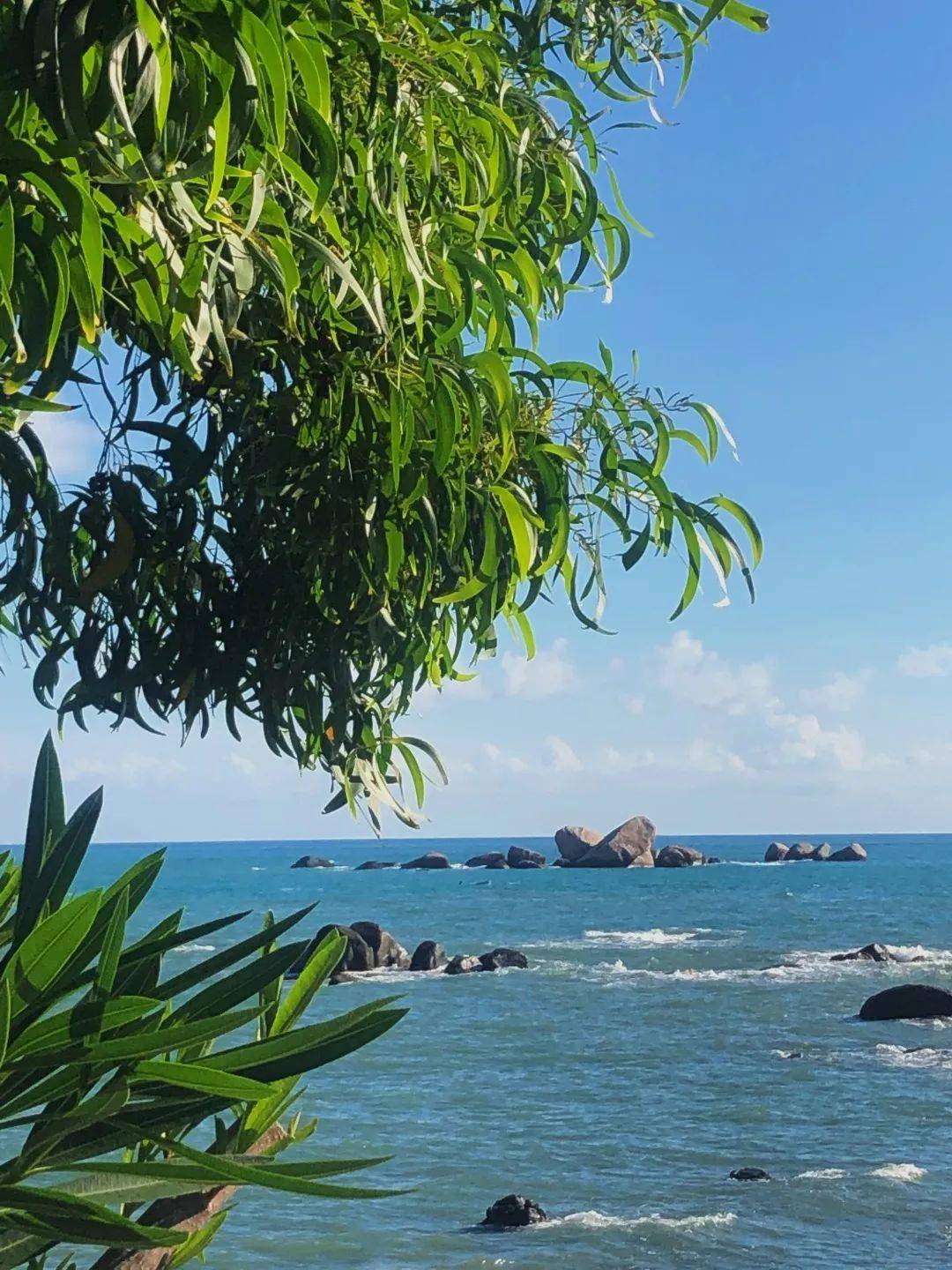 听说,这是你想来三亚的理由?