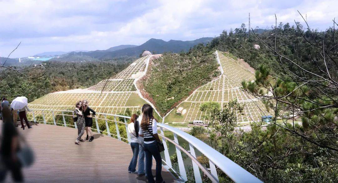 360°空中观景 香山湖"云栈桥" 来了!更令人期待的是