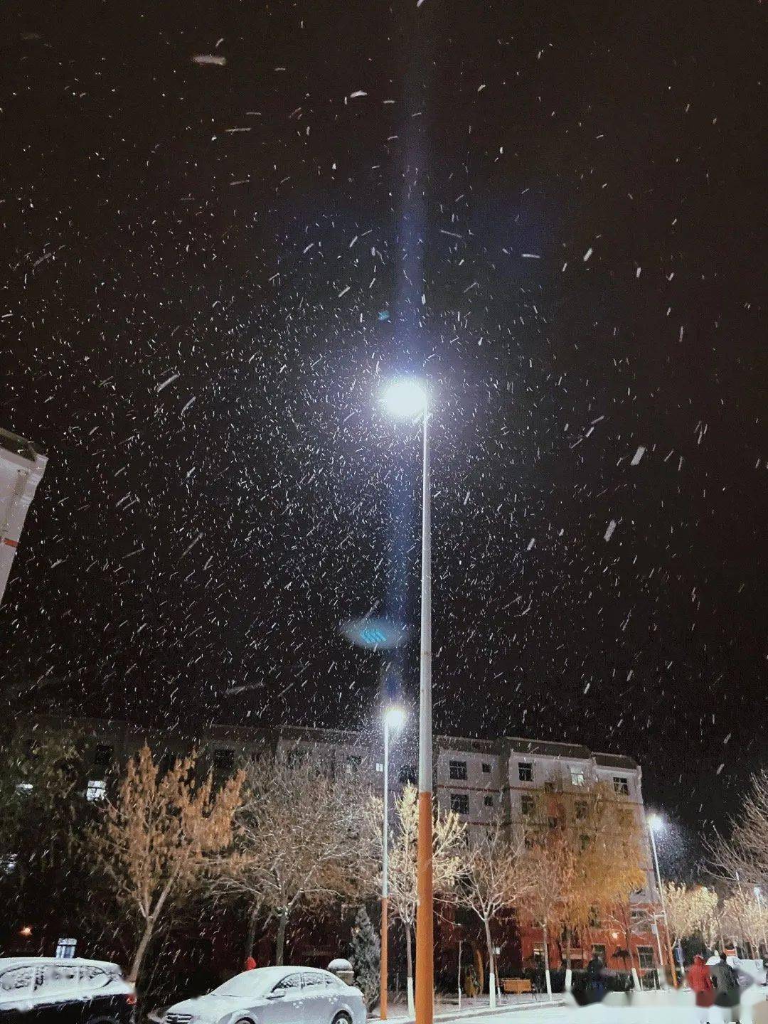 2020年嘉峪关高考成_嘉峪关2020年注册会计师考试顺利完成,出考率达36.(2)