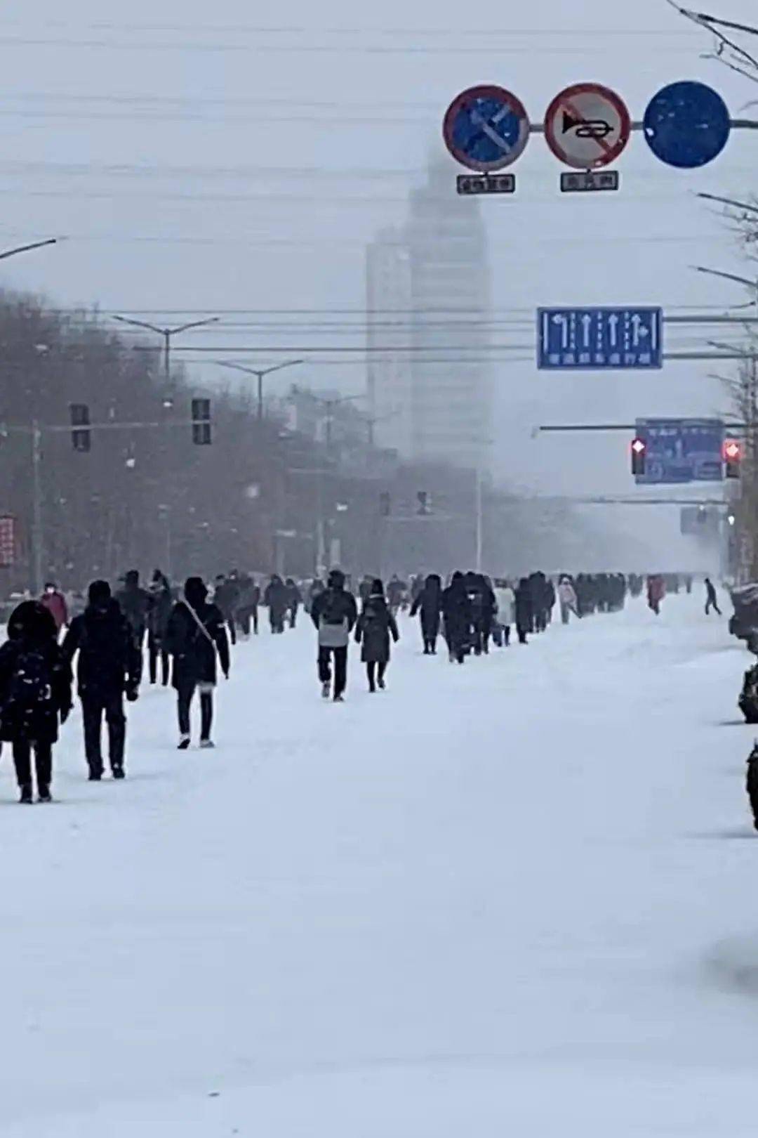 通辽这次的雪到底有多大?多图 视频.