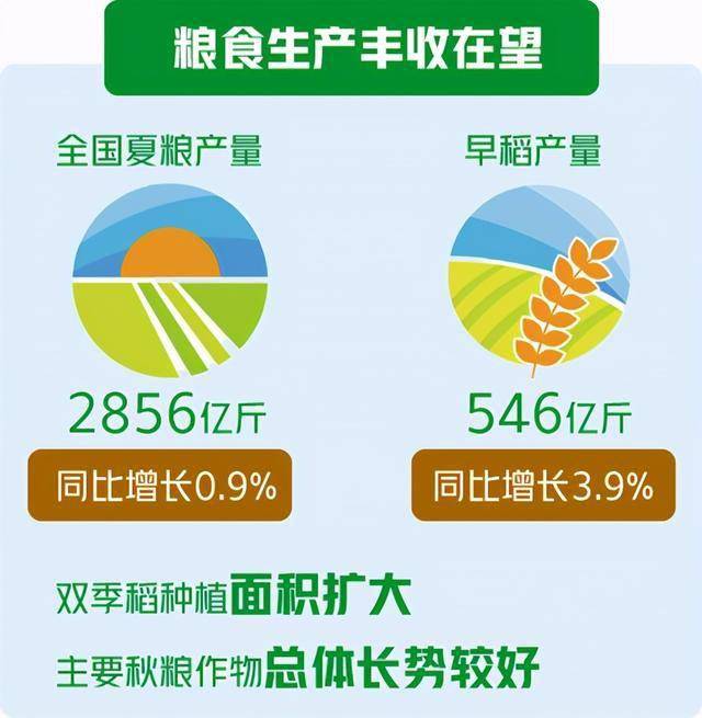 2019年荷兰农业经济总量_2020年荷兰经济