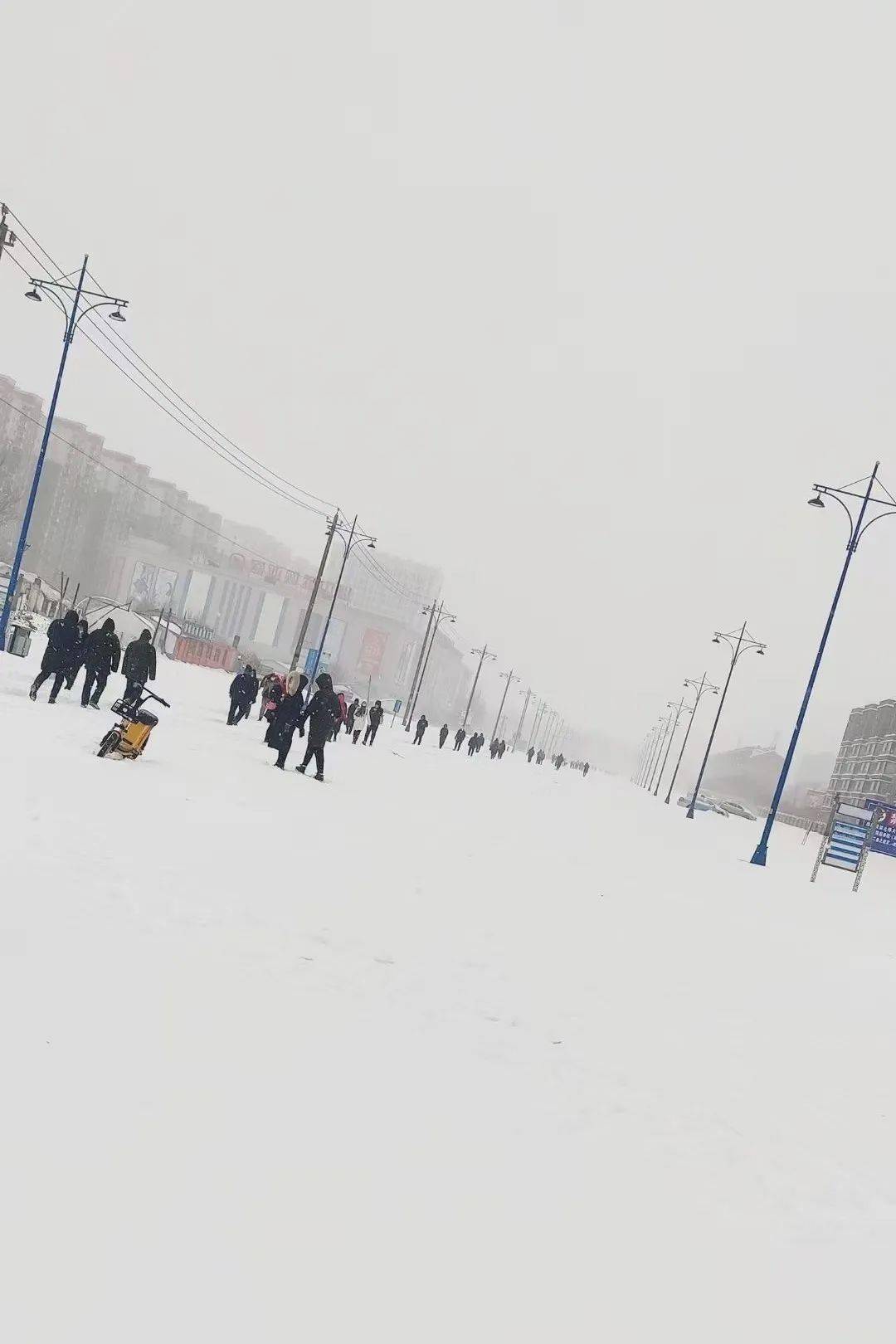 通辽这次的雪到底有多大多图视频