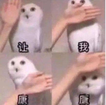 fbfba9c609944c16875d8a65140d1edb.jpeg