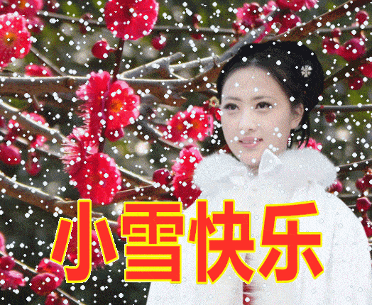 不用打字就可以聊天的图片小雪专辑