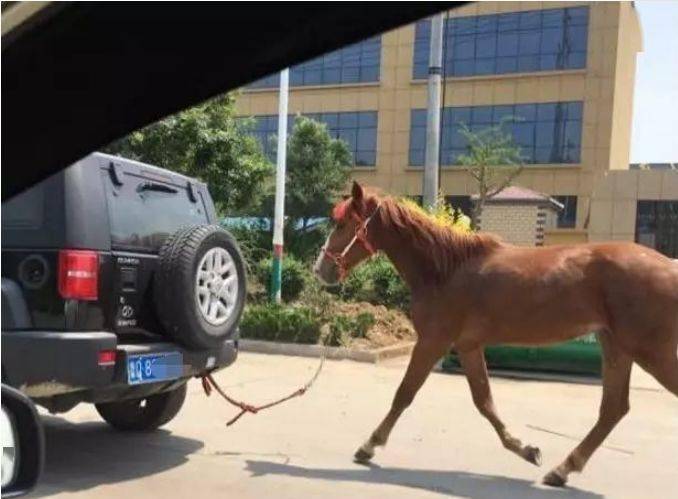 什么车骏马成语_骏马是什么豪车(2)