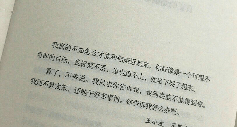 爱你就像爱生命简谱_爱你就像爱生命 房东的猫