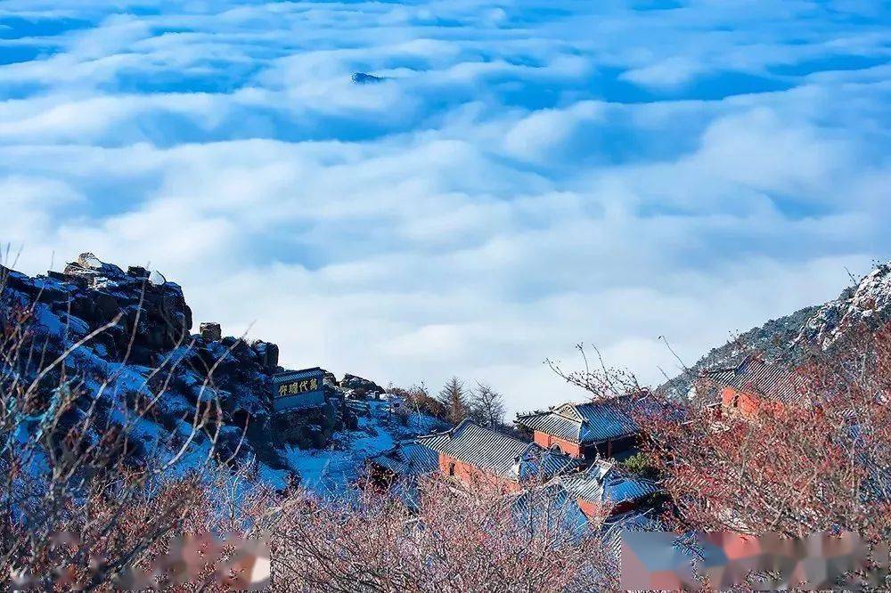 泰山雪景美醉了