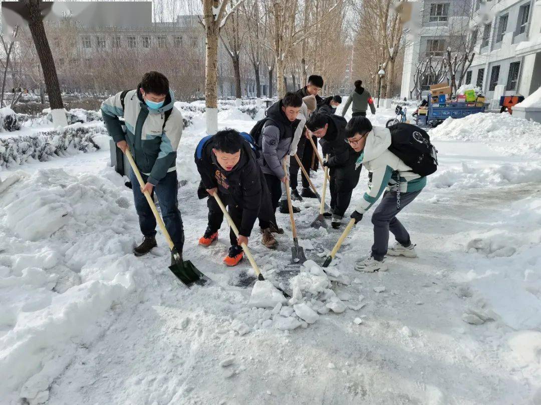 国际教育学院于2020年11月21日组织学生进行清雪活动