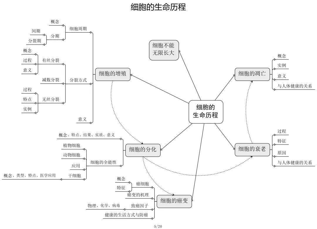 高中生物思维导图【很全面】