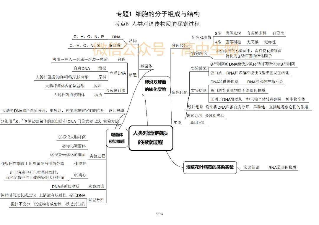 学霸脑图2021年高考生物知识框架细胞的分子组成与结构知识点总结