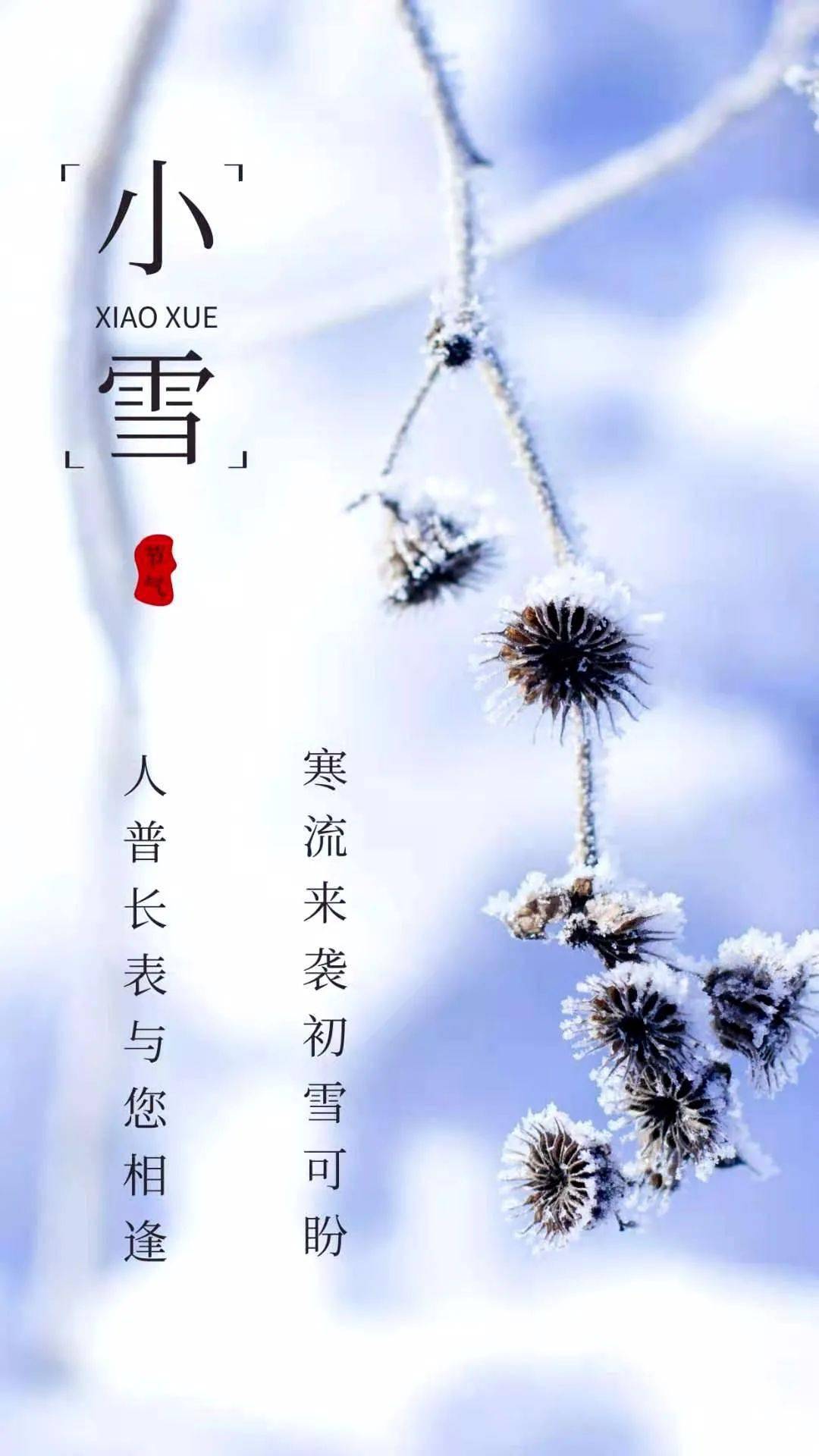 晚来天欲雪曲谱_晚来天欲雪