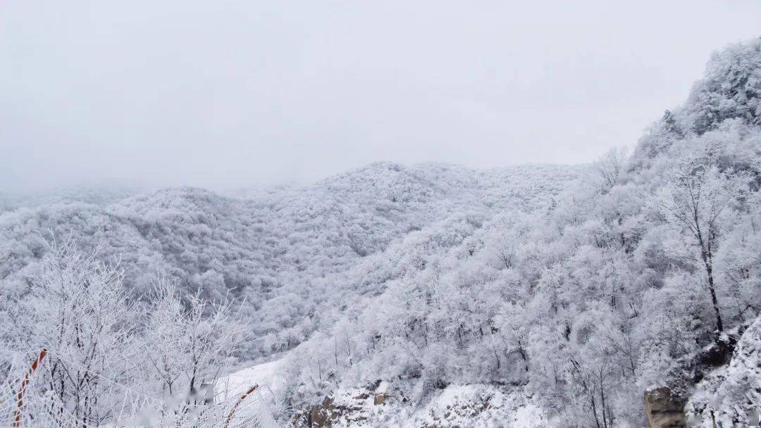 新雪季 | 换新颜 伏牛山诚邀各位重归雪道