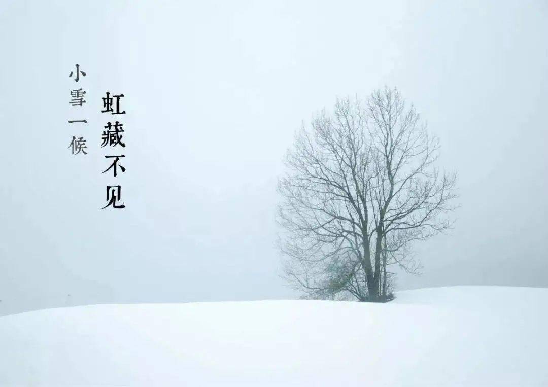 成语成门什么雪_雪之下雪乃(3)