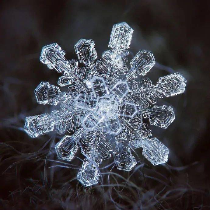 微距镜头下的雪花,这大概就是冬天里最美的花吧!
