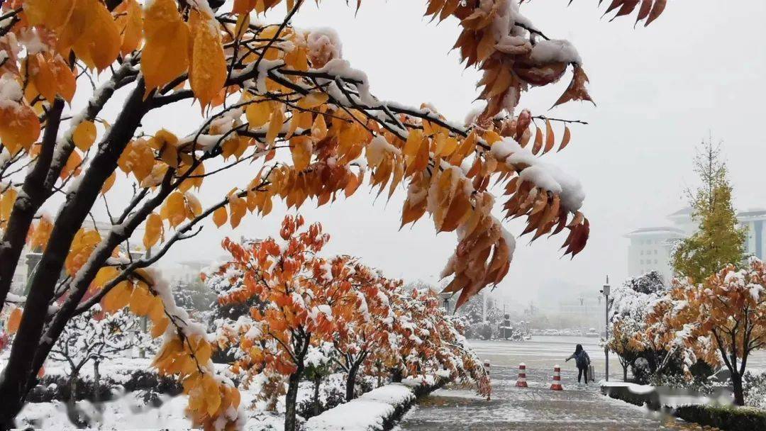 乡间小雪，一部短剧的温暖故事