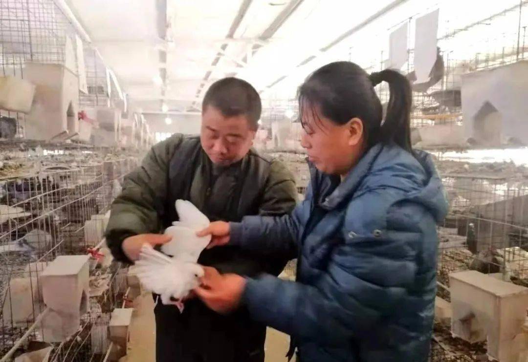 西九吉乡人口_木西合乡寄宿制学校