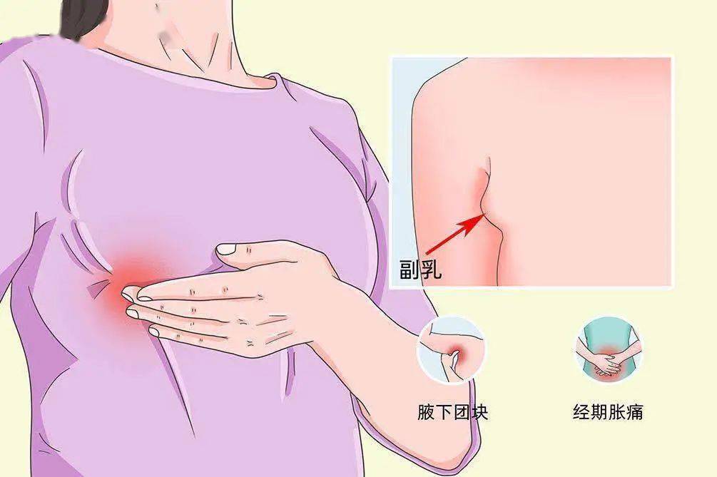 【健康】腋下赘肉真的是多余的吗?