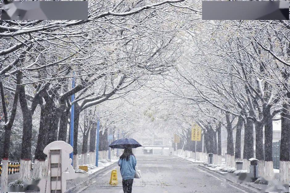 美不胜收借此瑞雪祝君如意策划:俞晴萱视频拍摄:李毓鑫 瞿佳妮 郭若轩