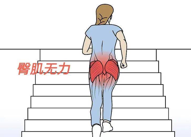 什么原因导致肌无力 83917bb0c25a4254bae7404387f5ee7a.jpeg