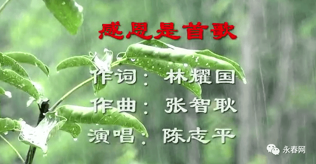 草根简谱_儿歌简谱(3)