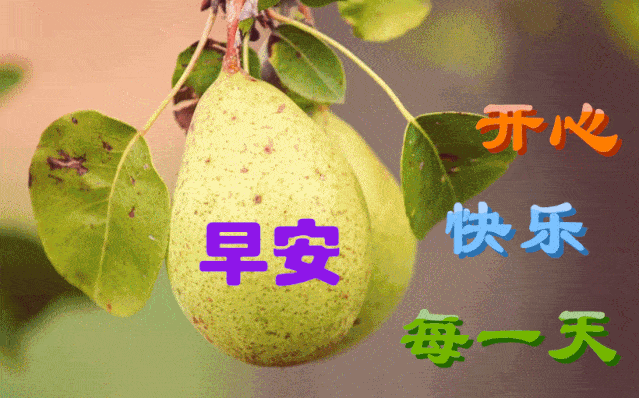 11月24日最漂亮早上好动态表情图片大全早晨好动图美图大全