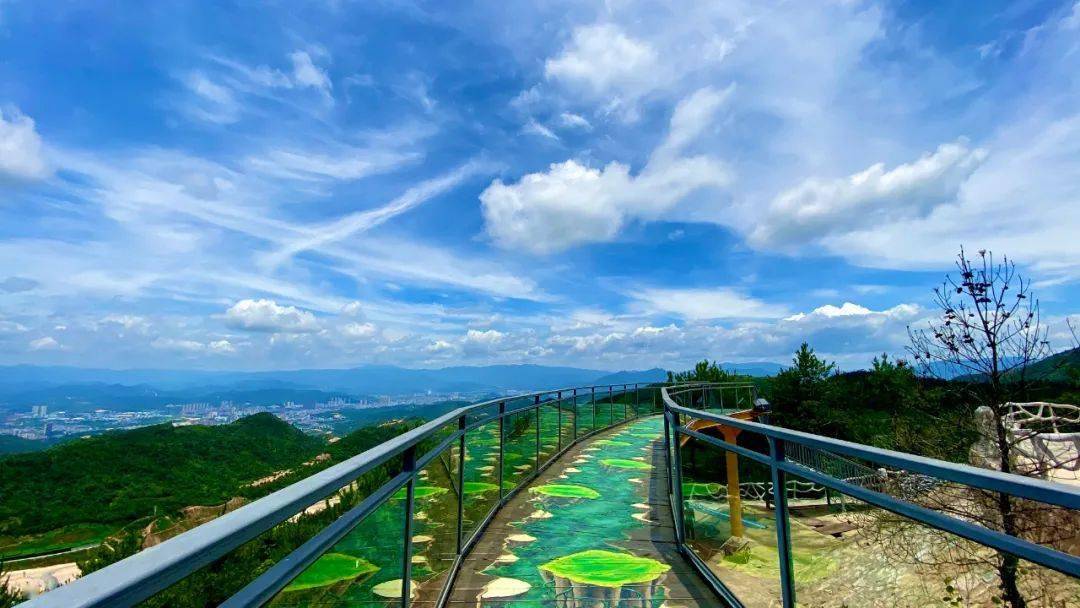 11月29日已成团 | 仅需258元!丰顺大宝山,灯光秀,泡温泉一天游