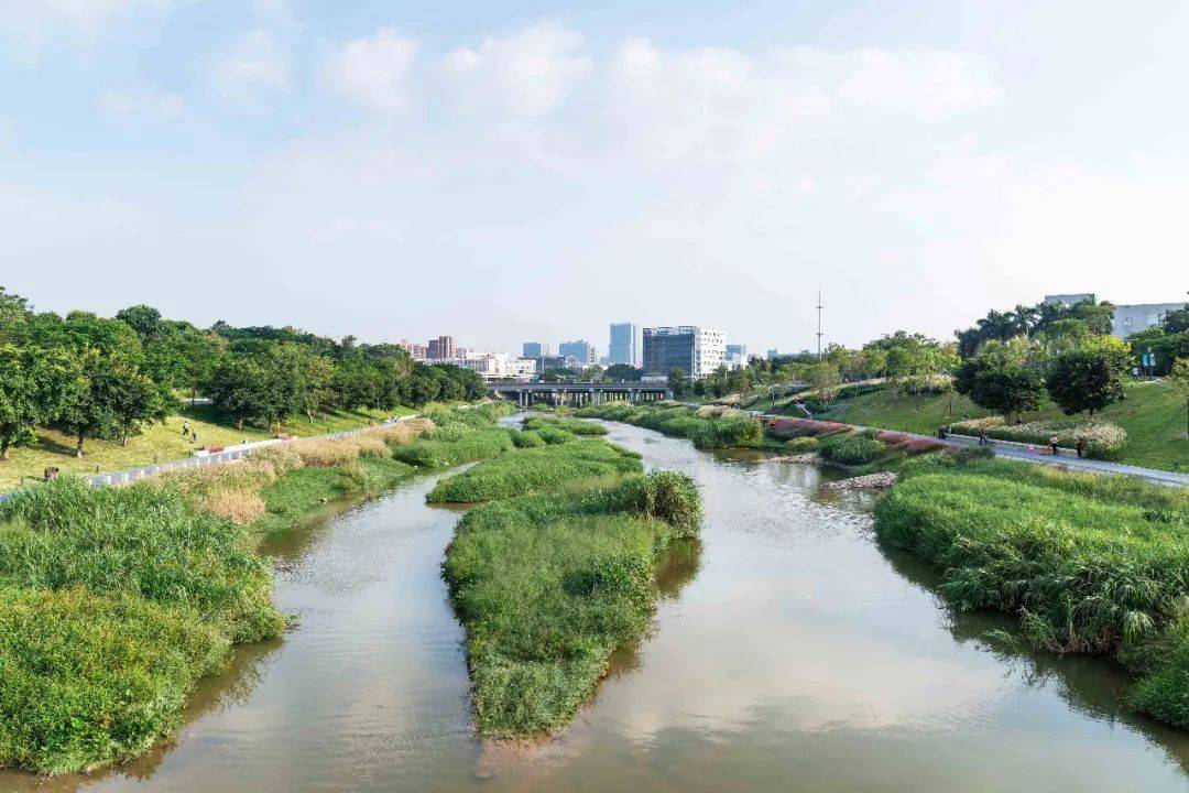 ar精选重塑河道生命系统深圳茅洲河碧道光明段生态修复试点eadg