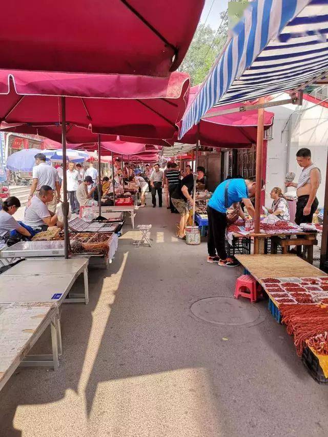 先有沈阳道,后有潘家园!天津卫最古老的淘宝圣地,你去
