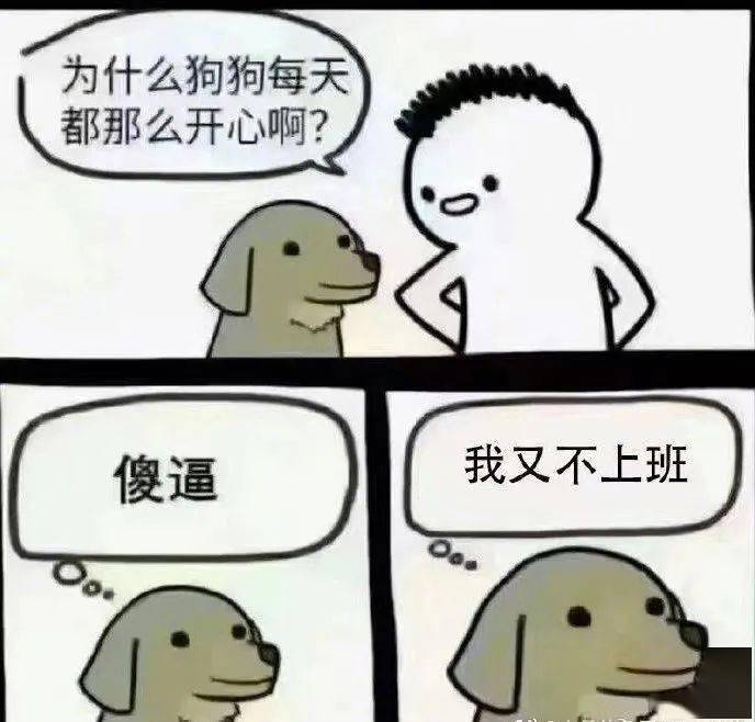 fe6bf6d1007a4f01a5841f04b0a6ad12.jpeg