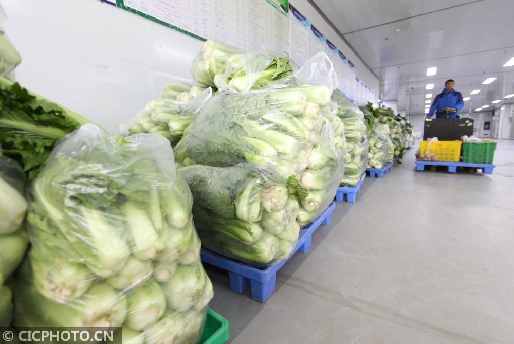 胡攀|贵州遵义：农产品产供销一条龙确保食品安全