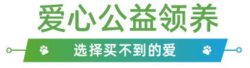 圣诞来华南宠物展一站买遍全球宠物用品丨参展品牌预览米乐m6官网登录入口(图7)