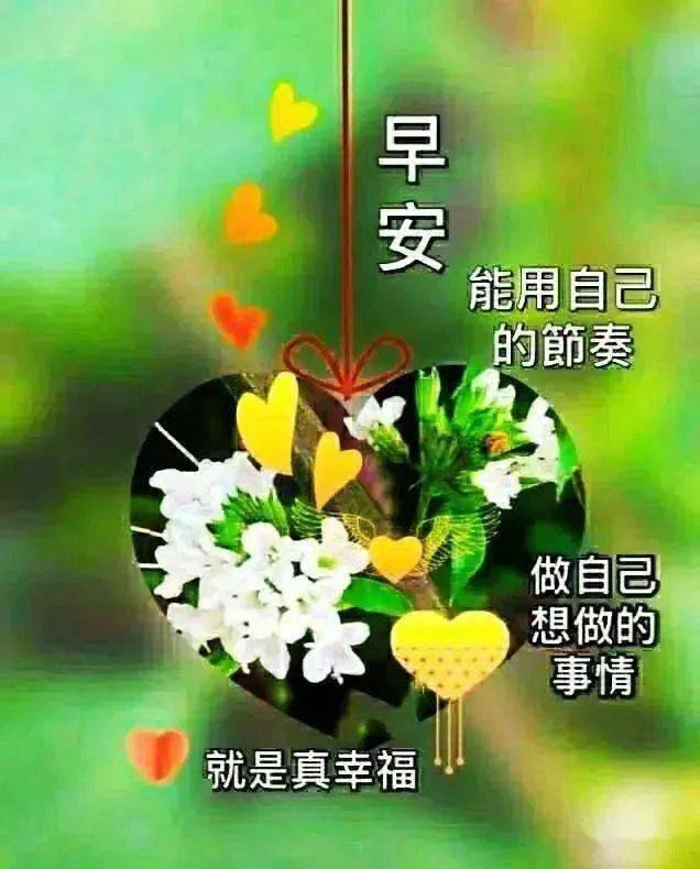 11月27日最漂亮早上好动态表情图片大全,早晨好动图美图大全