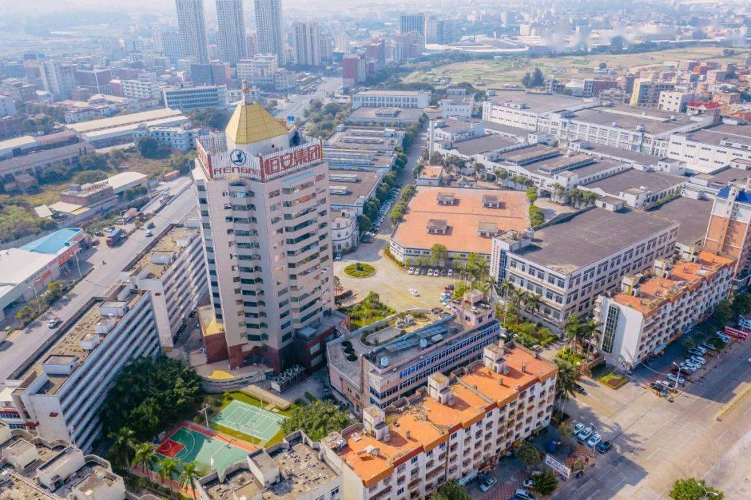 安海gdp_安海土笋冻