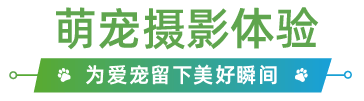 圣诞来华南宠物展一站买遍全球宠物用品丨参展品牌预览米乐m6官网登录入口(图9)