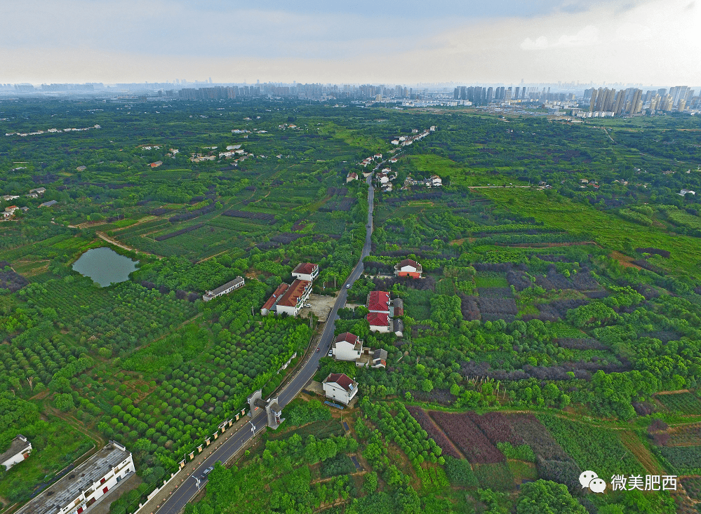 肥西三岗人口_肥西蓬莱路大桥