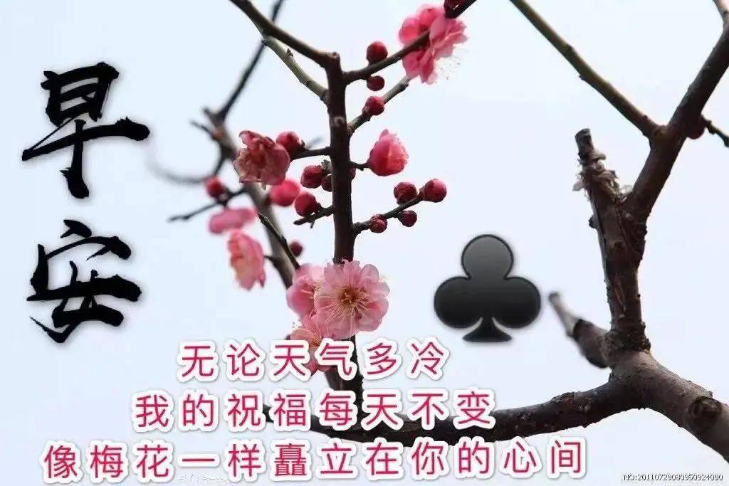 8张最新非常有创意唯美冬日早安早上好图片 免打字冬日朋友圈早安问候